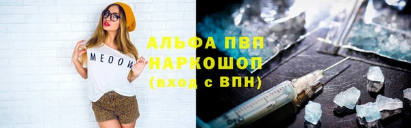 молекула духа Переславль-Залесский