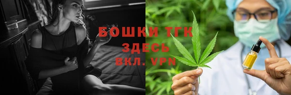 молекула духа Переславль-Залесский