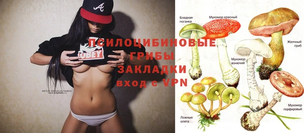 молекула духа Переславль-Залесский