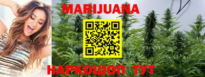 сатива Балаково