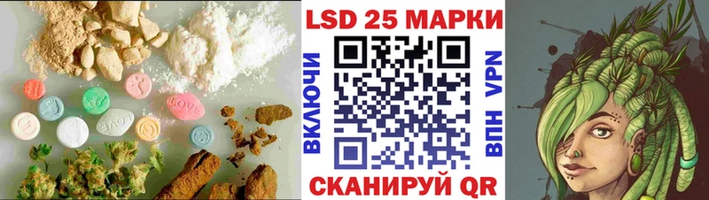 дарк нет какой сайт  omg зеркало  Тара  LSD-25 экстази кислота 