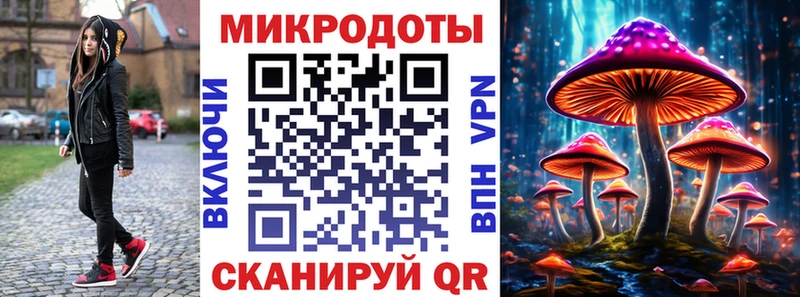 кракен зеркало  даркнет телеграм  Тара  Галлюциногенные грибы прущие грибы  купить закладку 