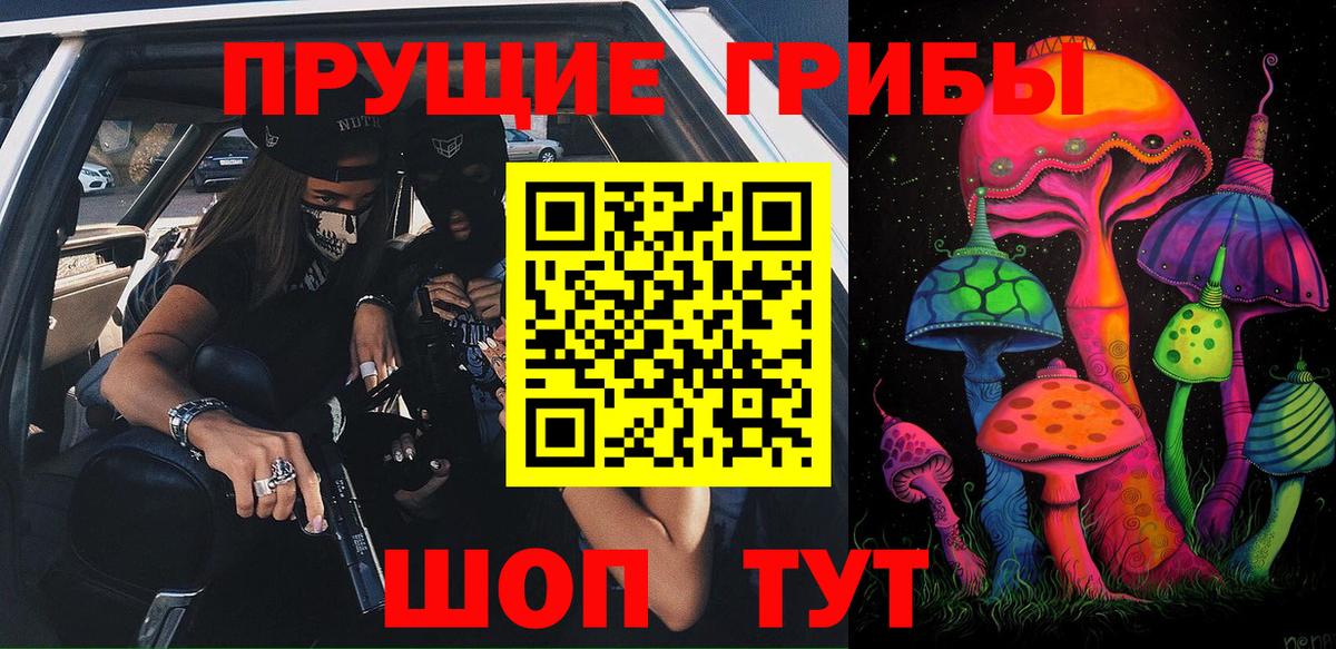 Тара  Галлюциногенные грибы Psilocybe  купить закладку  Вход с VPN 