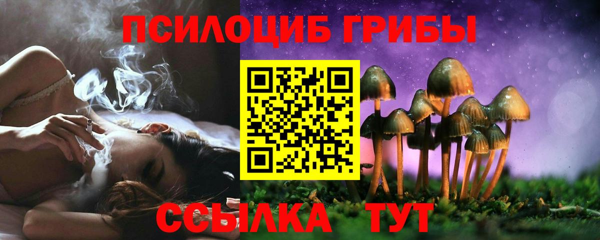 Псилоцибиновые грибы Psilocybe  Псилоцибиновые грибы MAGIC MUSHROOMS  Тара 